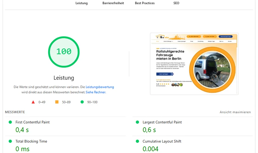 Beispiel einer Google PageSpeed Insights Analyse mit perfekter Leistungsbewertung