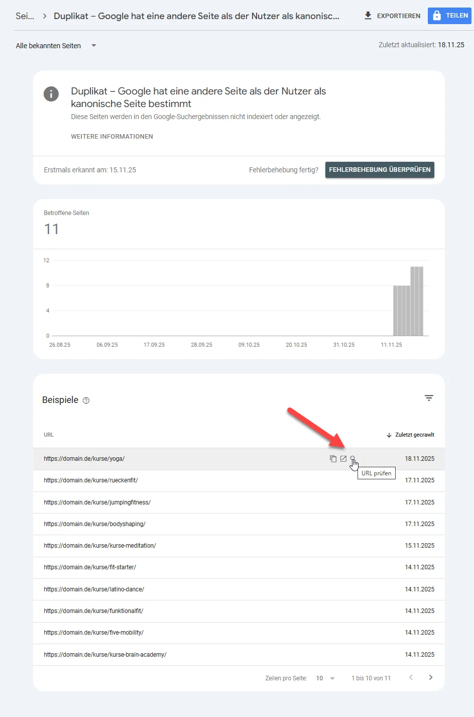 Detailansicht der Google Search Console zu betroffenen URLs mit dem Fehler Duplikat und Liste der nicht indexierten Seiten