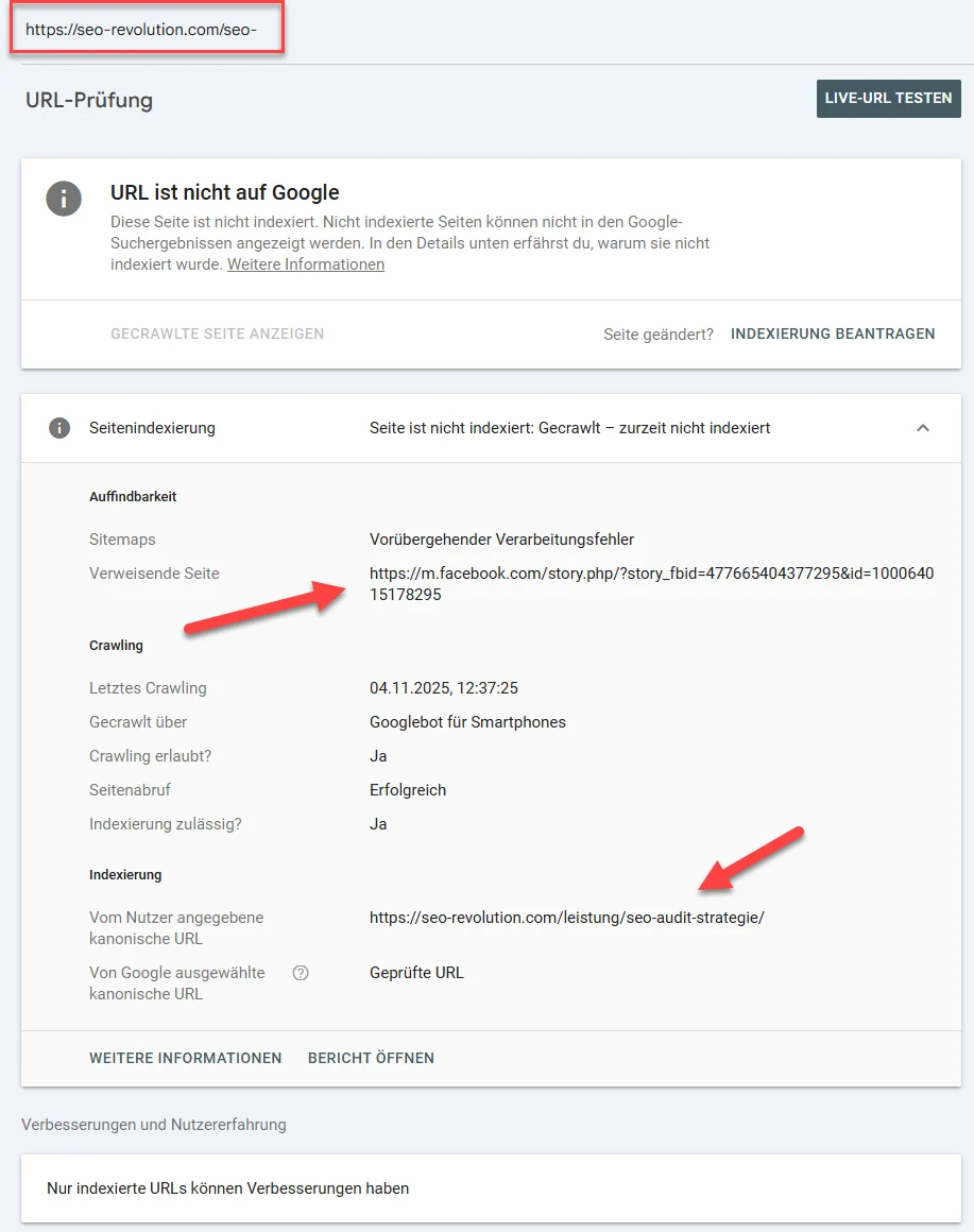 Detailansicht der Google Search Console für eine nicht indexierte URL mit Hinweis auf verweisende Facebook URL und von Google ausgewählte kanonische URL