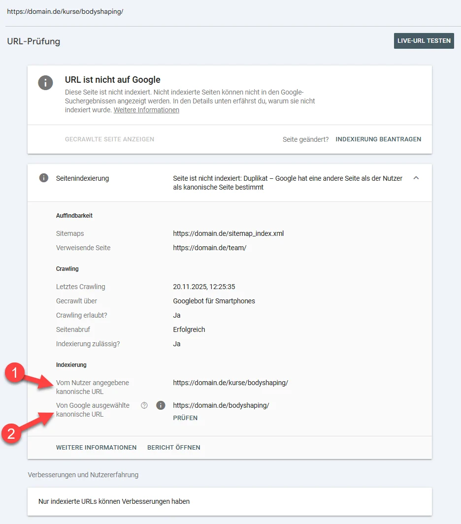 Google Search Console zeigt eine nicht indexierte URL mit Hinweis auf ein Duplikat und unterschiedliche kanonische URLs