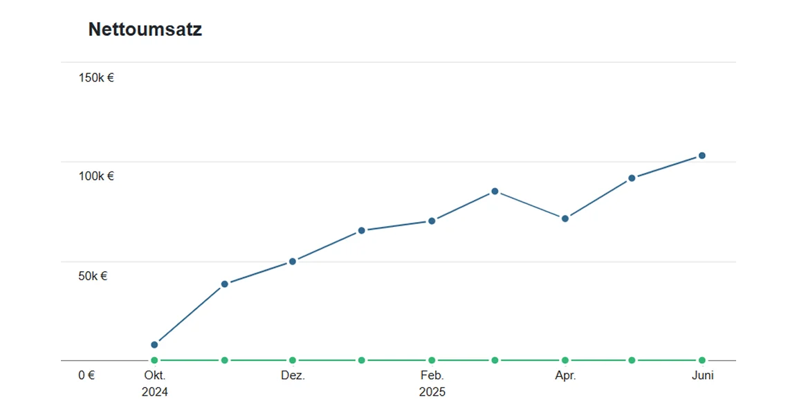 Umsatzentwicklung im Onlineshop – stetiger Anstieg des Nettoumsatzes durch gezielte SEO-Optimierung