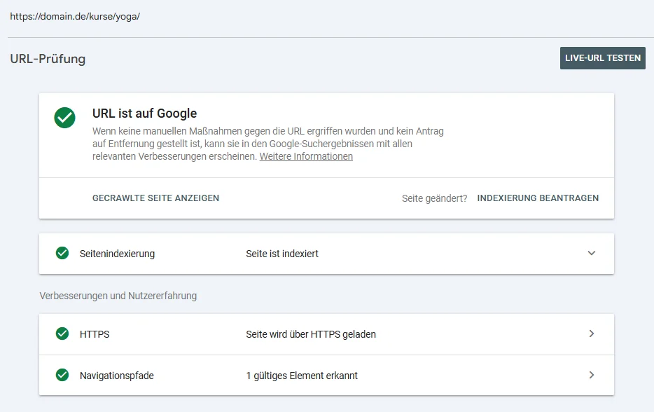 Google Search Console zeigt eine erfolgreich indexierte URL ohne Indexierungsfehler